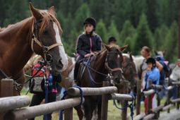 Équitation à Cogne - Vallée d'Aoste